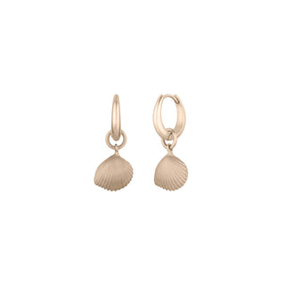 &Lottie Aphrodite Shell Earrings in Gold Plated Brass